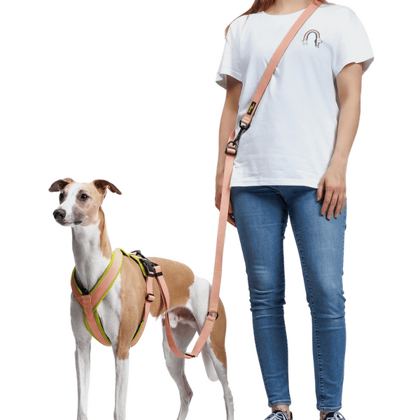 L-1-Hands-Free-Leash L Peach, view: 3