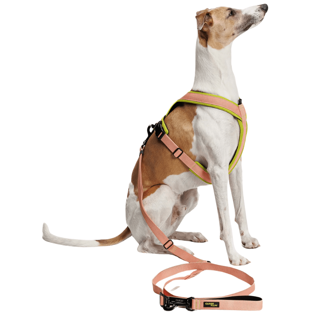 L-1-Hands-Free-Leash S Peach, view: 2