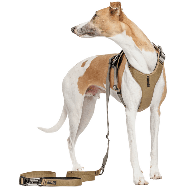 L-1-Hands-Free-Leash S Khaki / Grey, view: 2