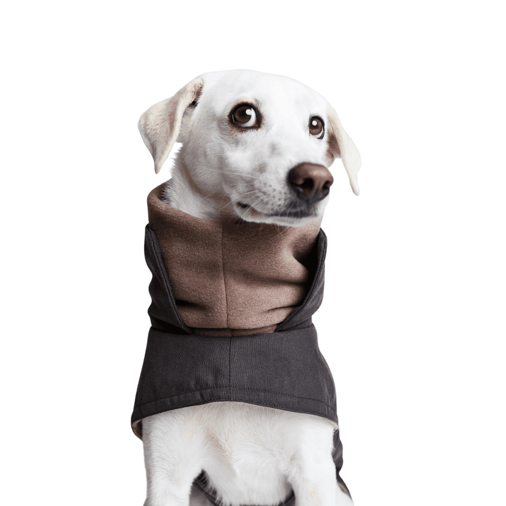 Brooklyn Winter Coat size 3-5 Light Graphite, view: 5