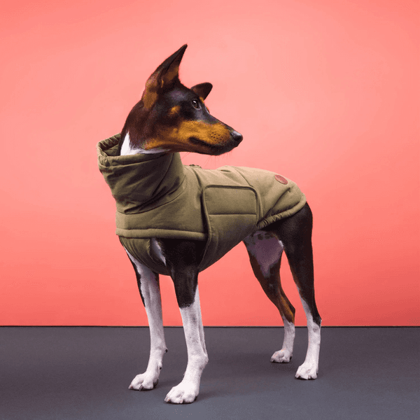 Yukon Winter Coat Teddy size 2 Khaki, view: 3