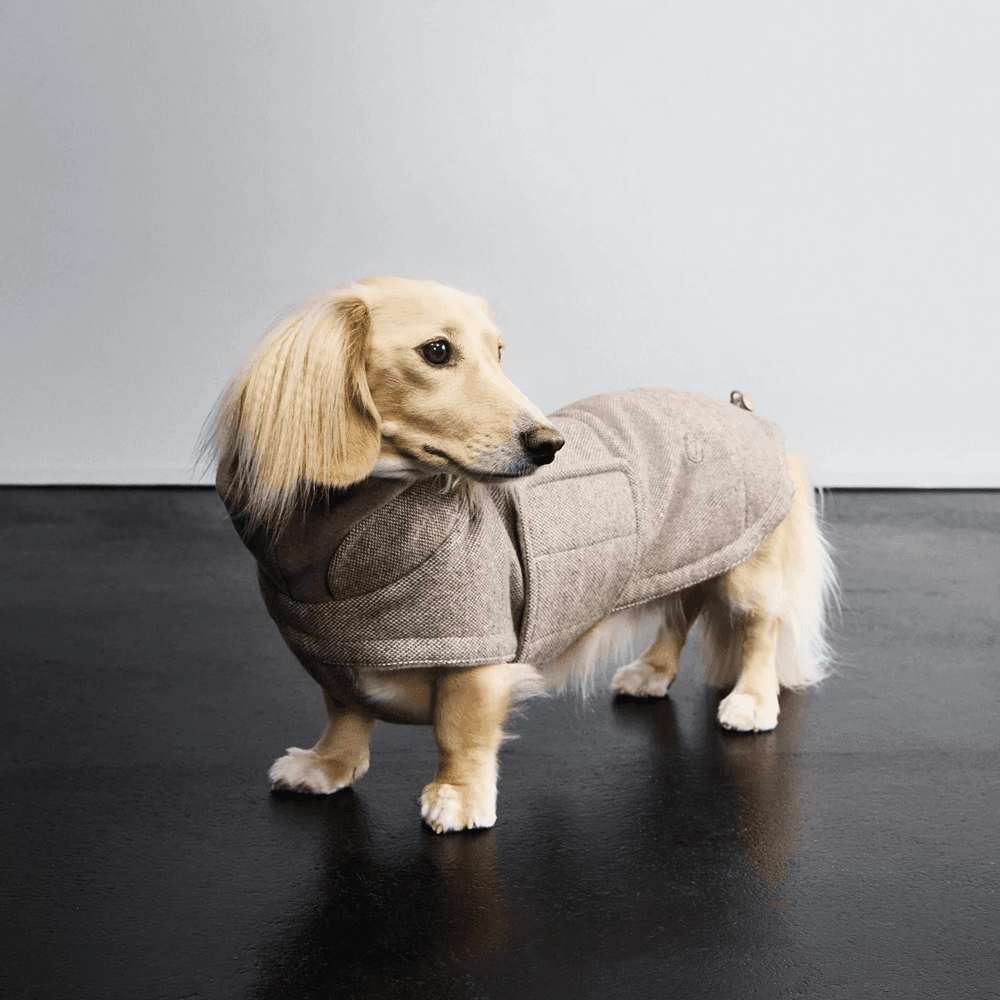 Brooklyn Winter Coat Tweed Dachshund size 2 Beige, view: 3