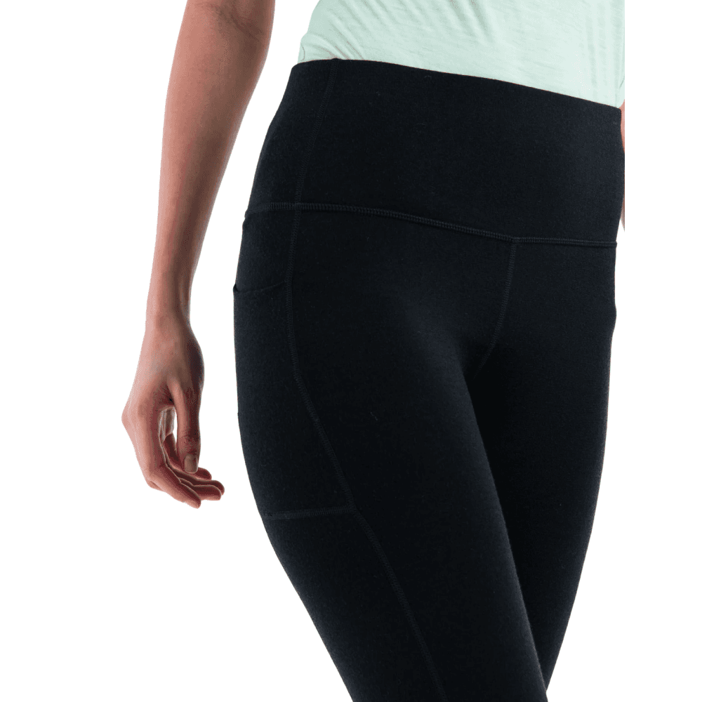 W's Merino 260 Fastray Ii 25 High Rise Tights Black, view: 4