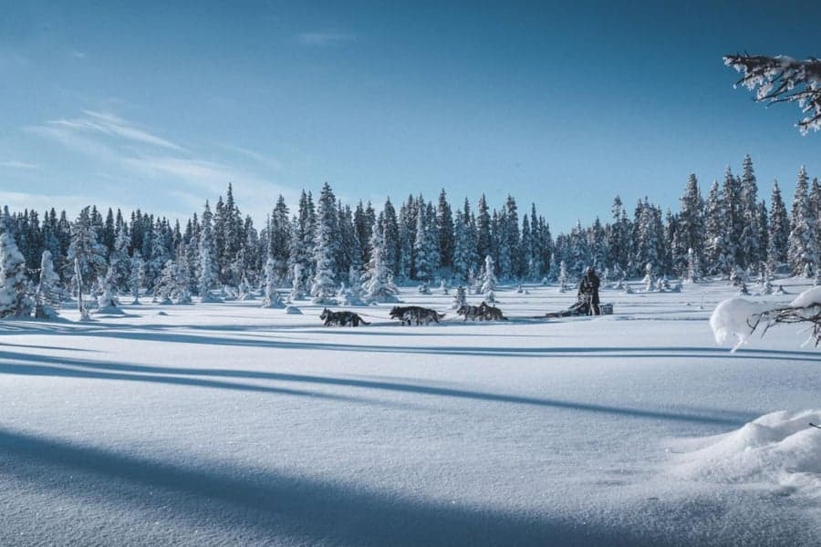 Tundra Svart, view: 2