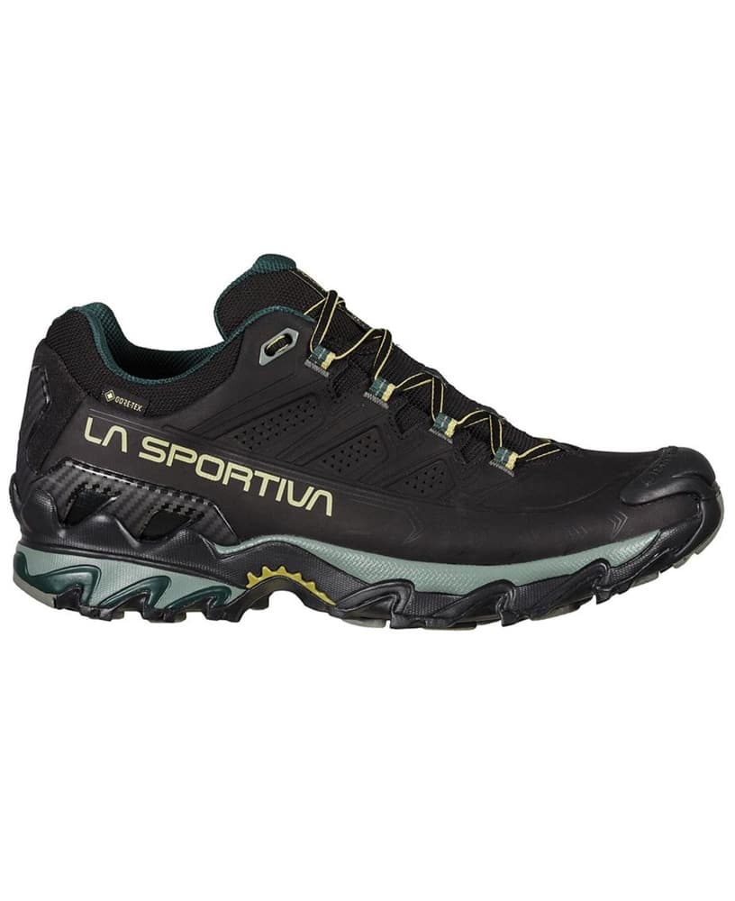 Ultra Raptor II LT GTX Black/Cedar, view: 0