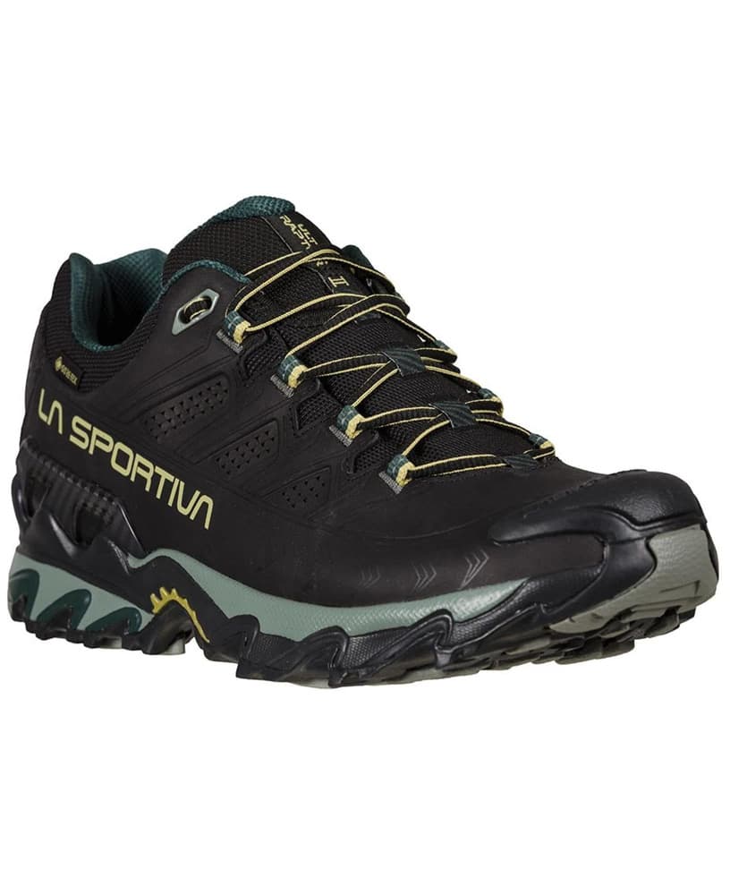 Ultra Raptor II LT GTX Black/Cedar, view: 2