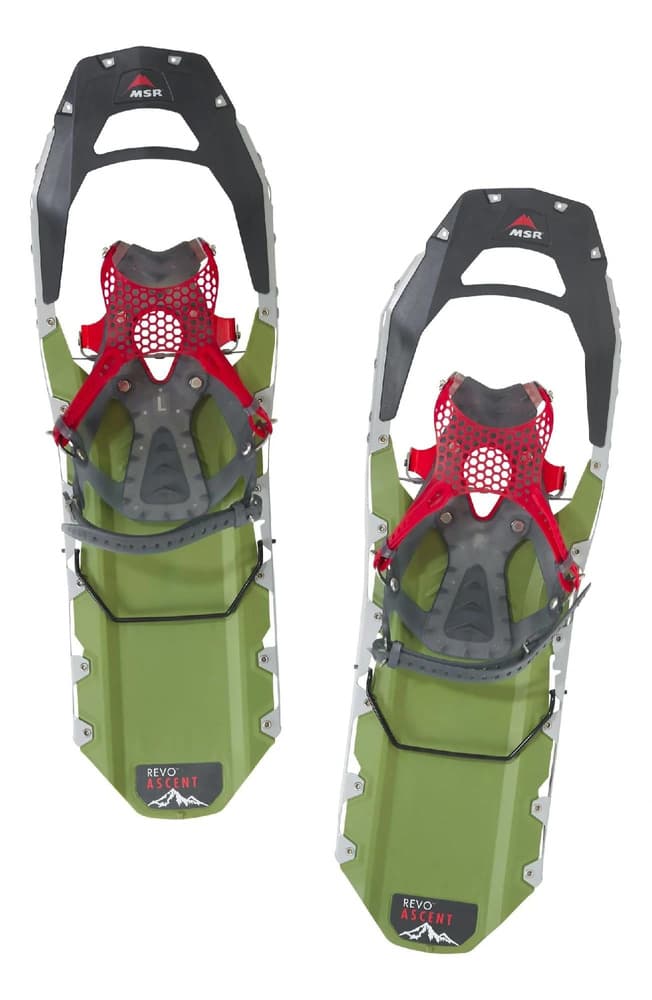 Revo Ascent M25 Olivgrön, view: 1