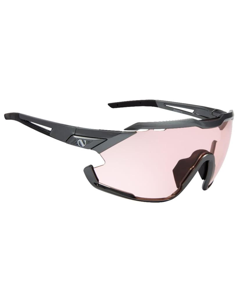 Platinum Performance P Standard Platinum, view: 0