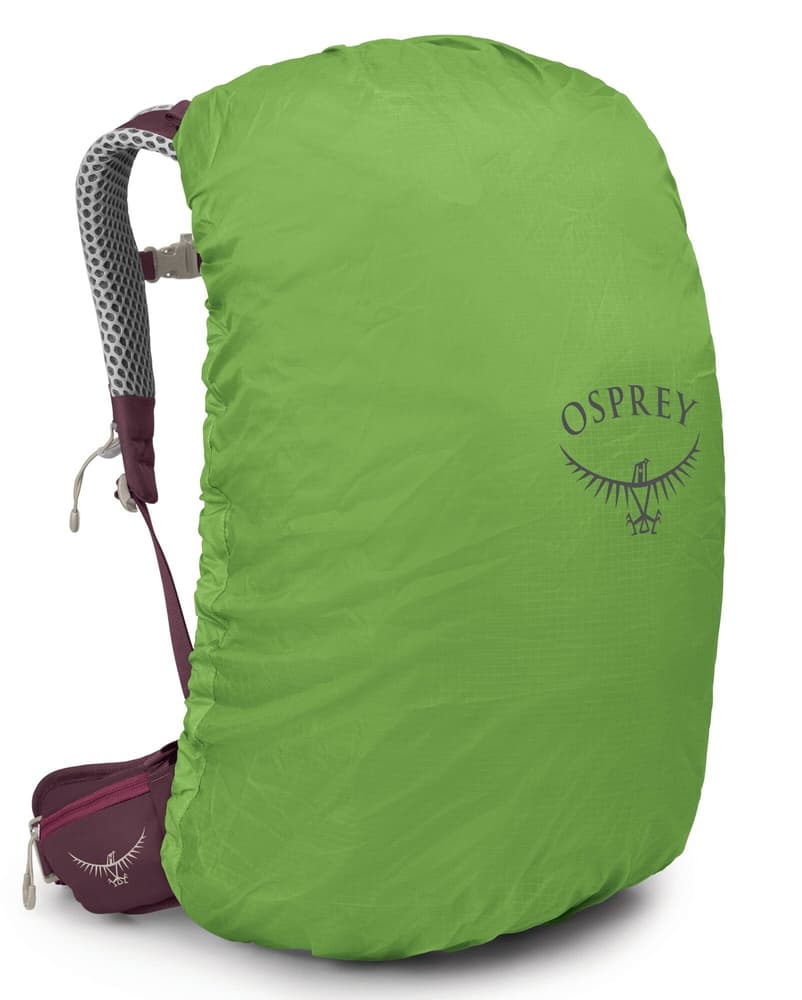 Sirrus 34 Elderberry Purple/Chiru Tan, view: 4