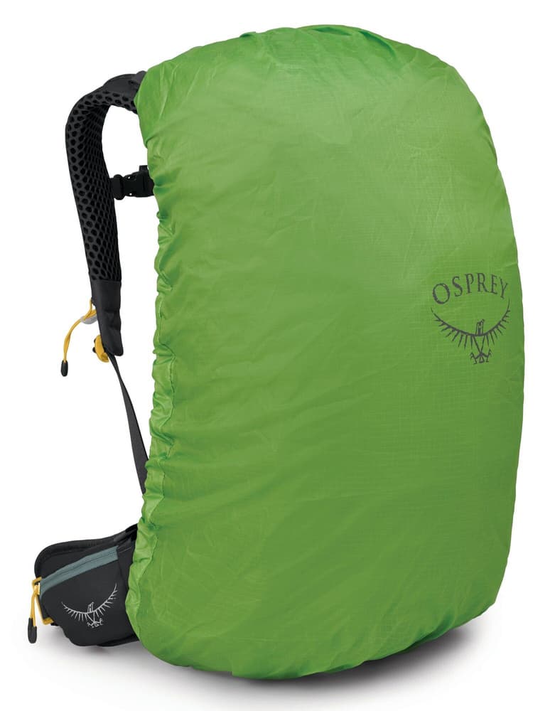 Sirrus 34 Succulent Green, view: 3