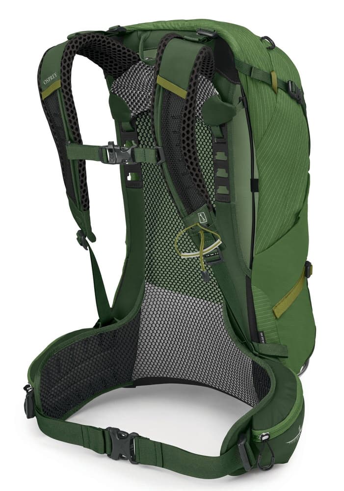 Stratos 24 Seaweed/Matcha Green, view: 2