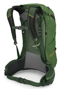 Stratos 24 Seaweed/Matcha Green - view: 2