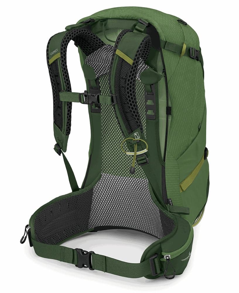 Stratos 34 Seaweed/Matcha Green, view: 2