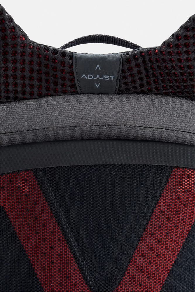 Protium 25 ND Mulberry, view: 6