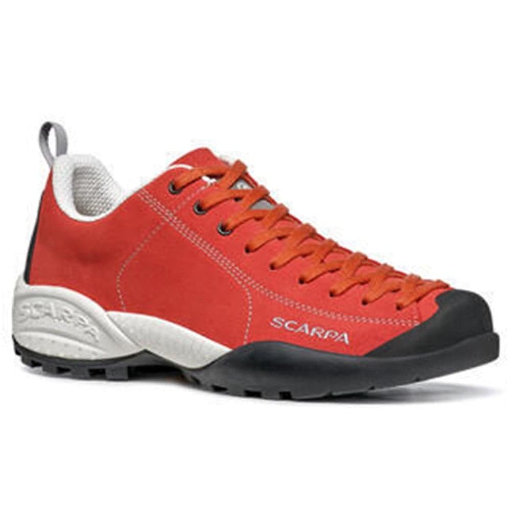 Mojito Red Ibiscus, view: 0