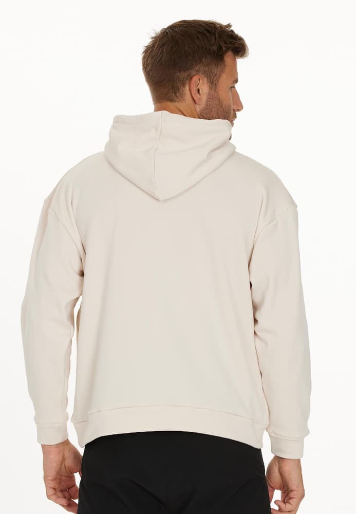 Duvall M Power Stretch Logo Hoody Moonbeam, view: 3