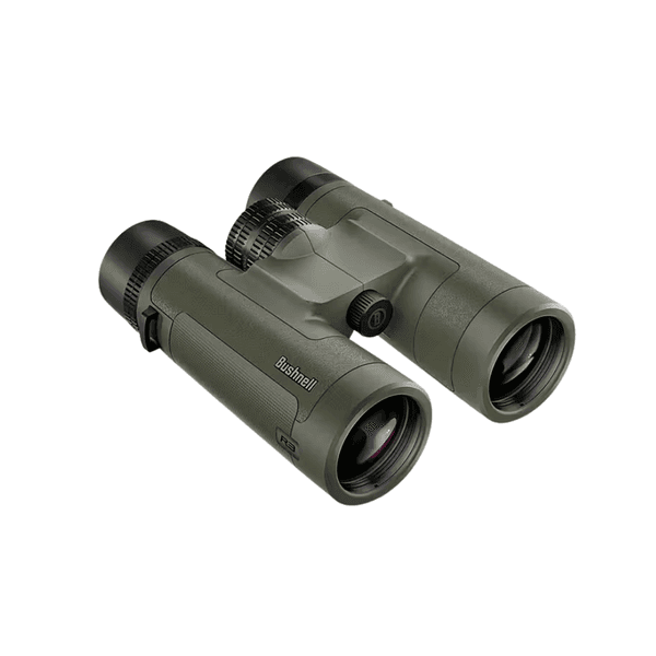 R3 10x42 Roof, view: 1