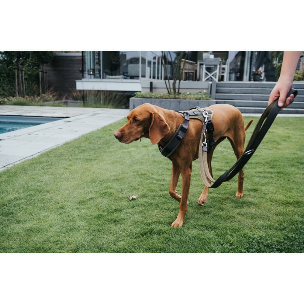 T-Leash Maldon 20/200 Olive Green/Grey, view: 2