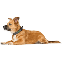 Collar Maldon 45-55/L Olive Green/Grey - view: 3