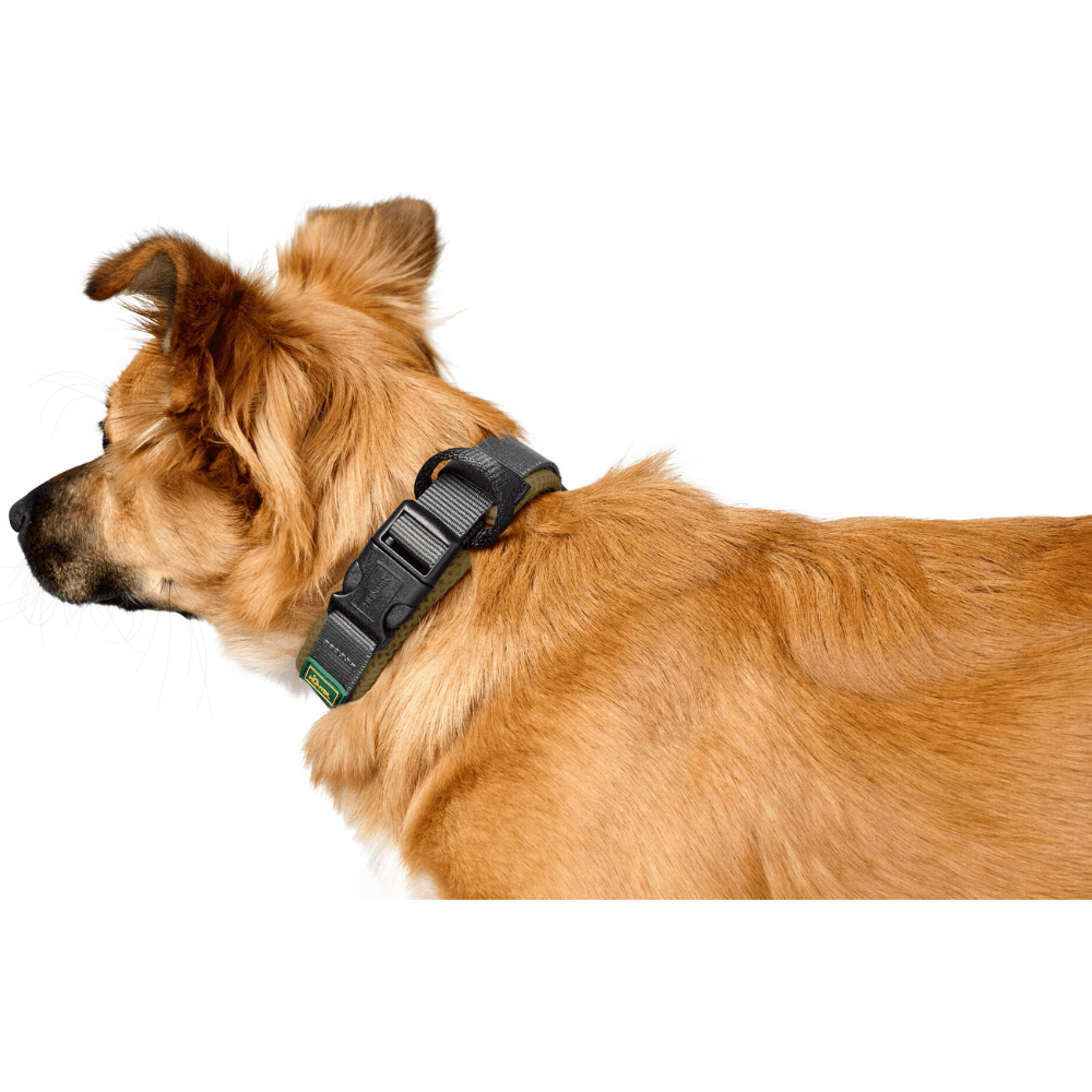 Collar Maldon 45-55/L Olive Green/Grey, view: 2
