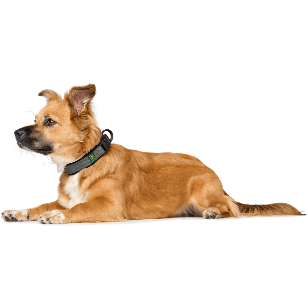 Collar Maldon 55-65/XL Black/Grey, view: 3