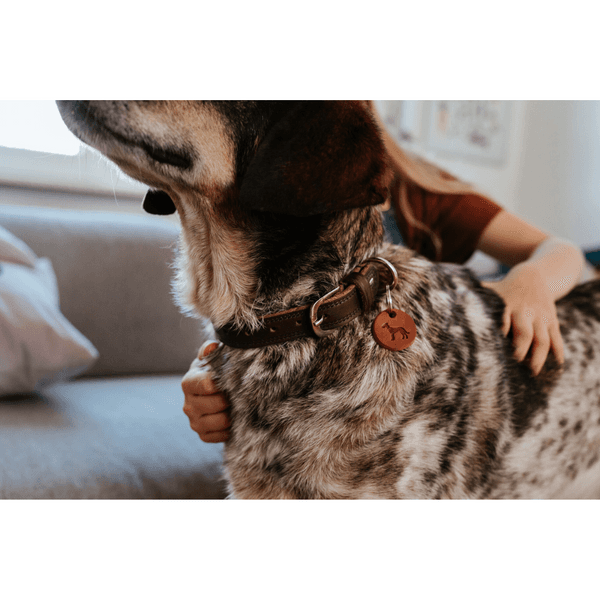 Collar Lemvig 55/M Leather Cognac/Olive Green, view: 4