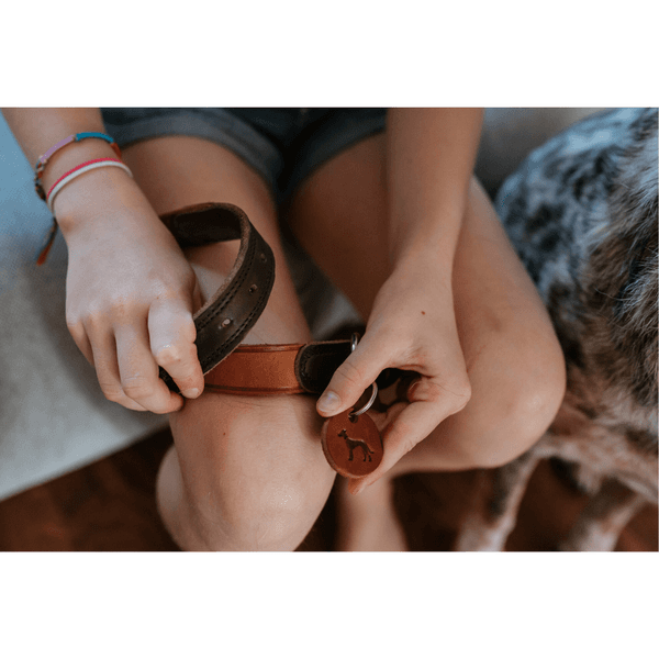 Collar Lemvig 60/M-L Leather Cognac/Olive Green, view: 5