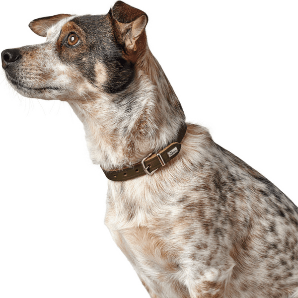 Collar Aalborg 37/XS-S Leather Olive Green, view: 3