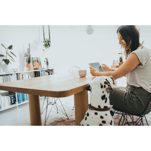 Collar Aalborg 37/XS-S Leather Cognac, view: 3