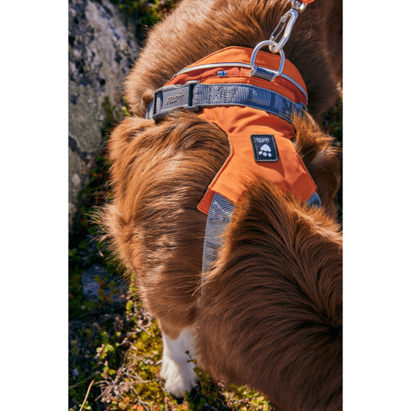 Rover Harness 65-95 cm Cinnamon, view: 1