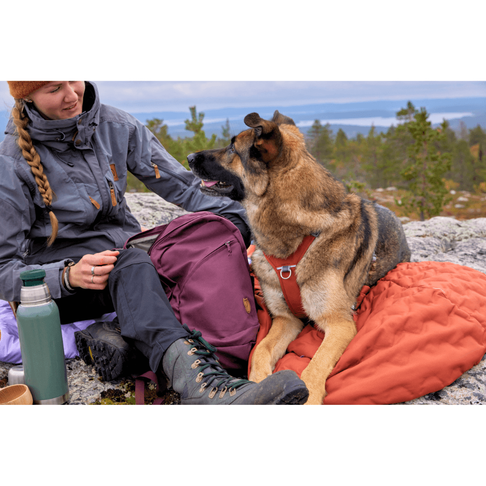 Sleepover Sleeping Bag L Cinnamon, view: 4