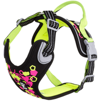 Weekend Warrior Neon Harness II 40-60 cm Licorice - view: 0