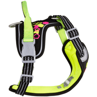 Weekend Warrior Neon Harness II 40-60 cm Licorice - view: 1