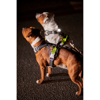 Weekend Warrior Neon Harness II 40-60 cm Licorice - view: 4