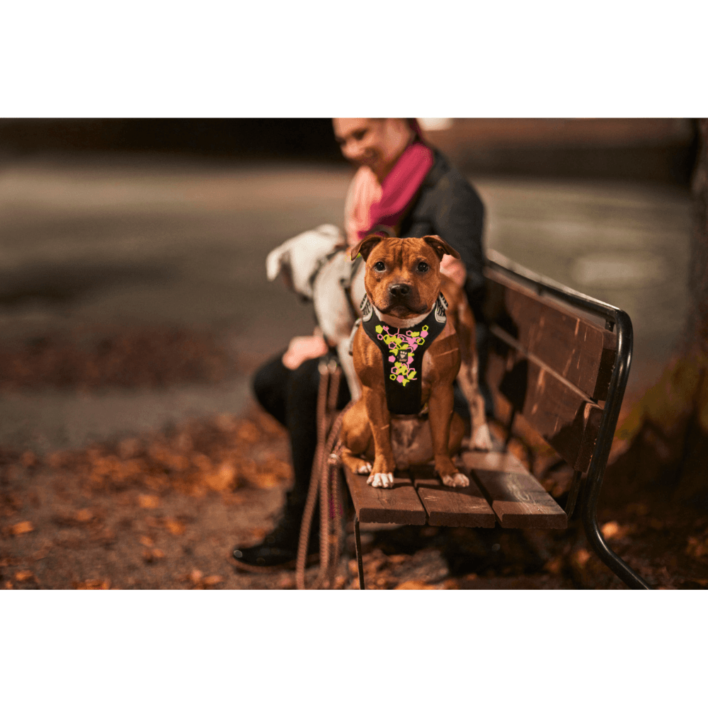 Weekend Warrior Neon Harness II 40-60 cm Licorice, view: 5