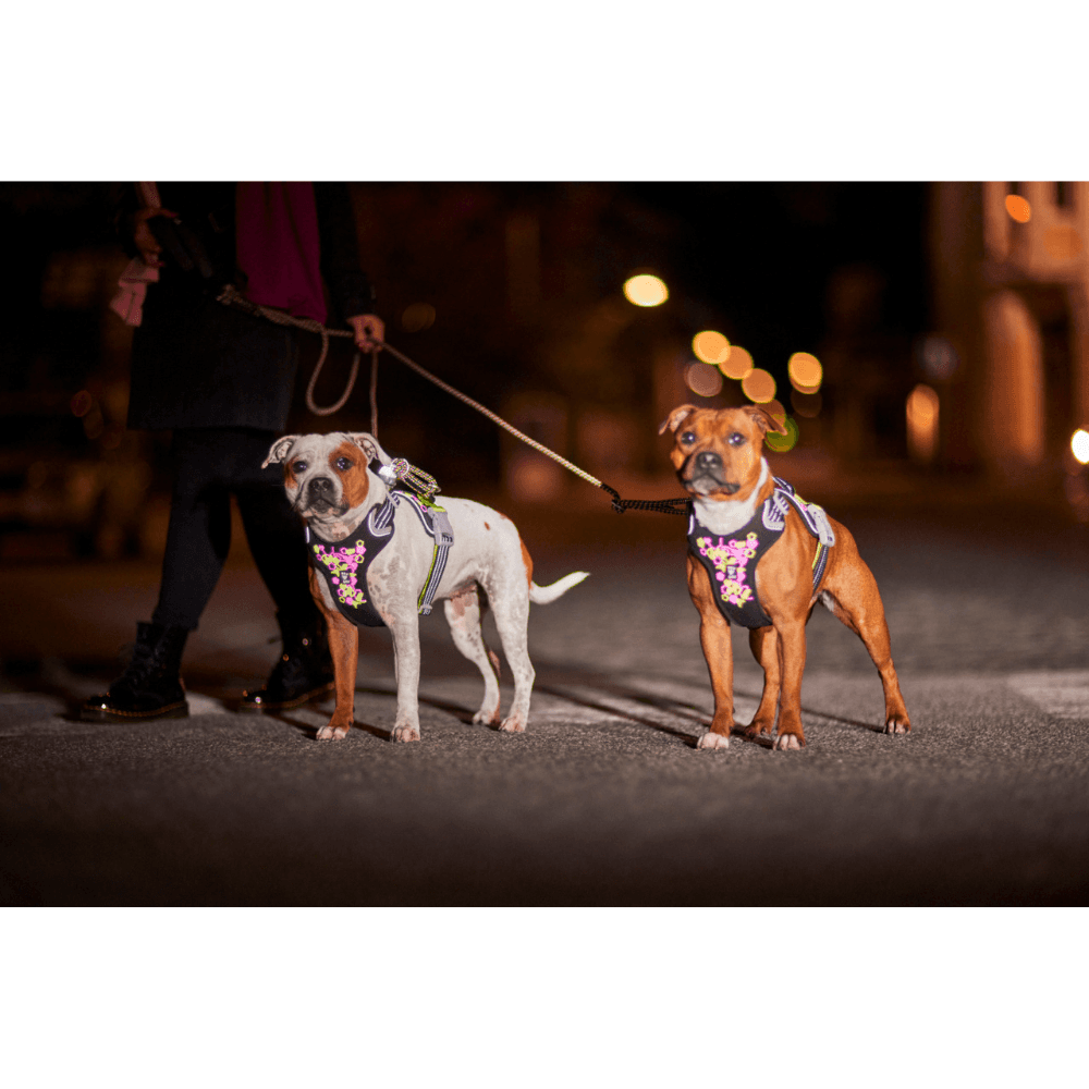 Weekend Warrior Neon Harness II 40-60 cm Licorice, view: 6