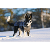 Jumppa 70-75 cm Graphite - view: 1