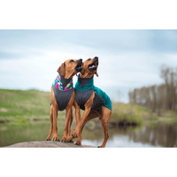 Jumppa 80-85 cm Forest - view: 3