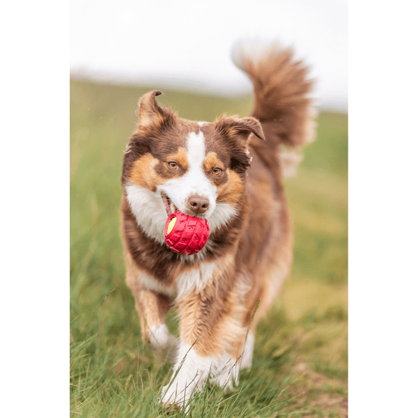 Tennisball i Dekk Naturgummi Ø 7,5 cm, view: 3