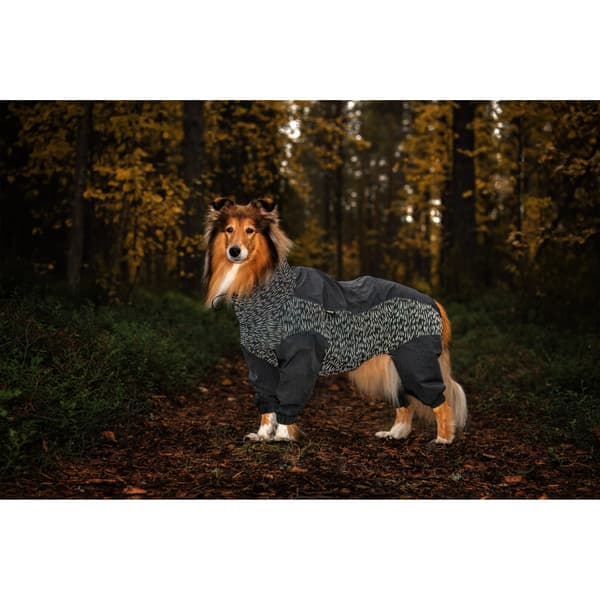 Flash Overall 35-45 cm Gray, view: 5