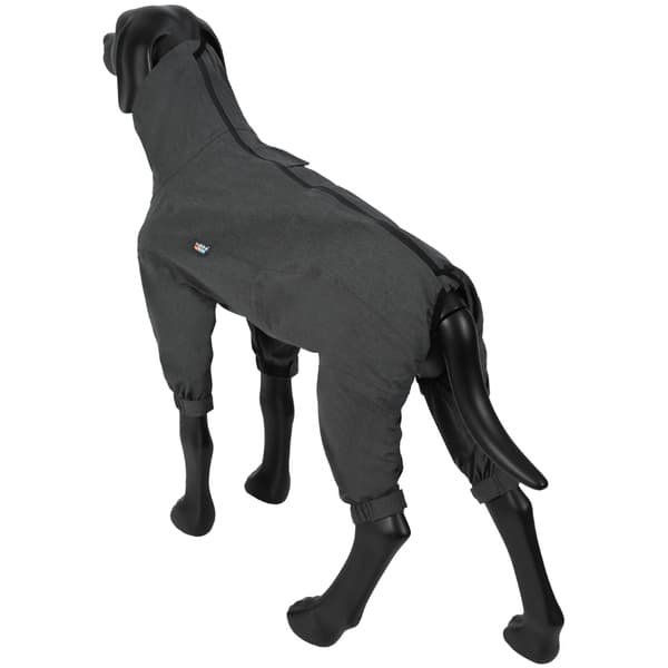 Flash Overall 50-55 cm Gray, view: 4