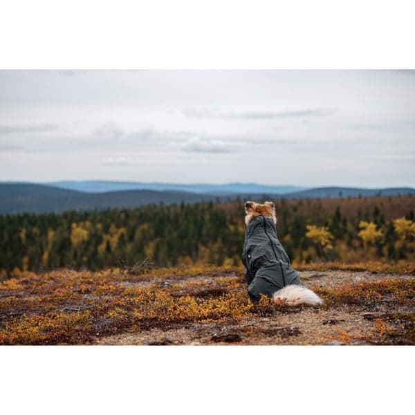 Flash Overall 50-55 cm Gray, view: 7