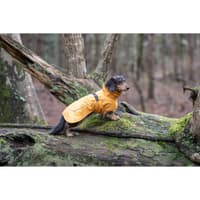 Stormy Coat 25-30 cm Honey - view: 3