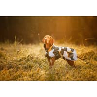 Stormy Coat 50-55 cm Green Mix - view: 5