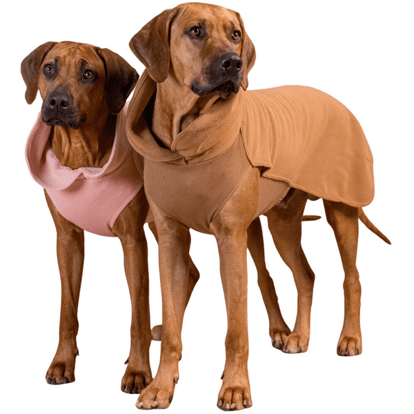 Seawool Shirt 55-70 cm Brown, view: 3