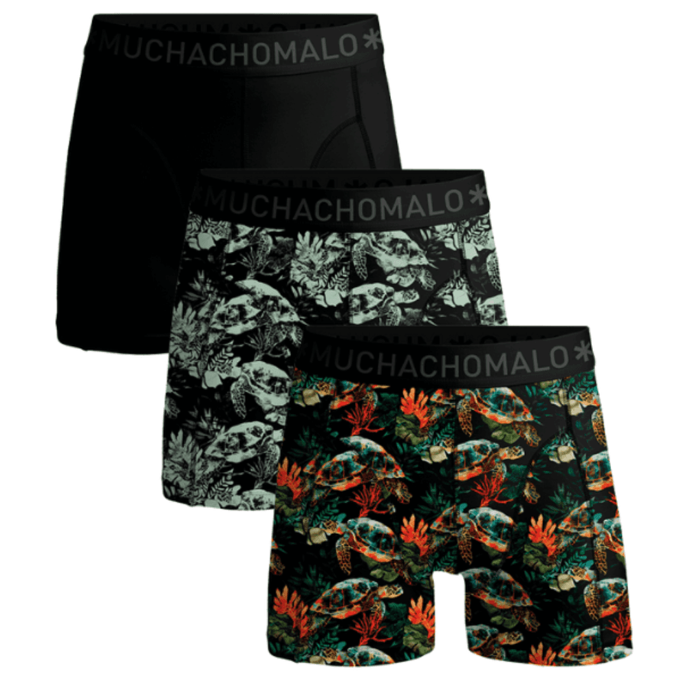 Turtle 01 3Pk Boxer Print/Print/Solid, view: 0