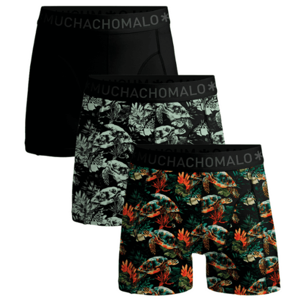 Turtle 01 3Pk Boxer Print/Print/Solid, view: 0