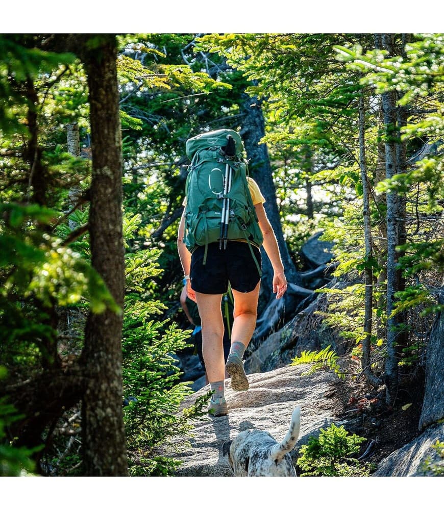 Ariel 55 Medium Gray, view: 11