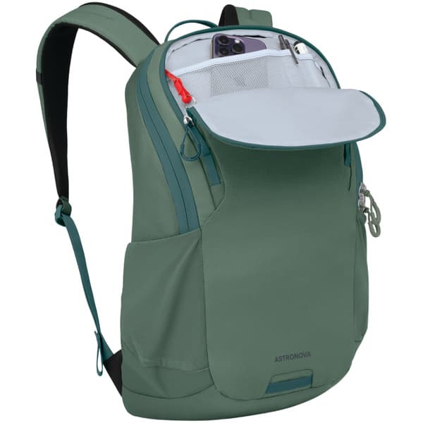 Astronova Pine Leaf Green, view: 2