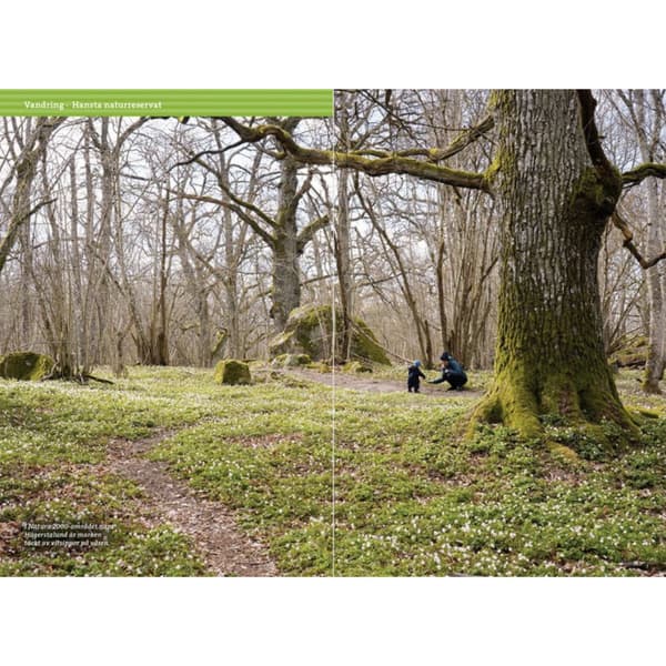 Familjens Uteguide Till Stockholm, view: 9